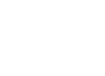 tamur logo